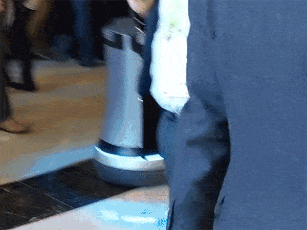 Gif of a person casually brushing the robot as they pass at CES 2018.