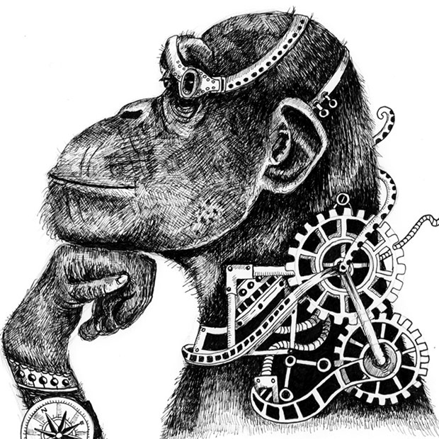 Intelligent chimp illustration