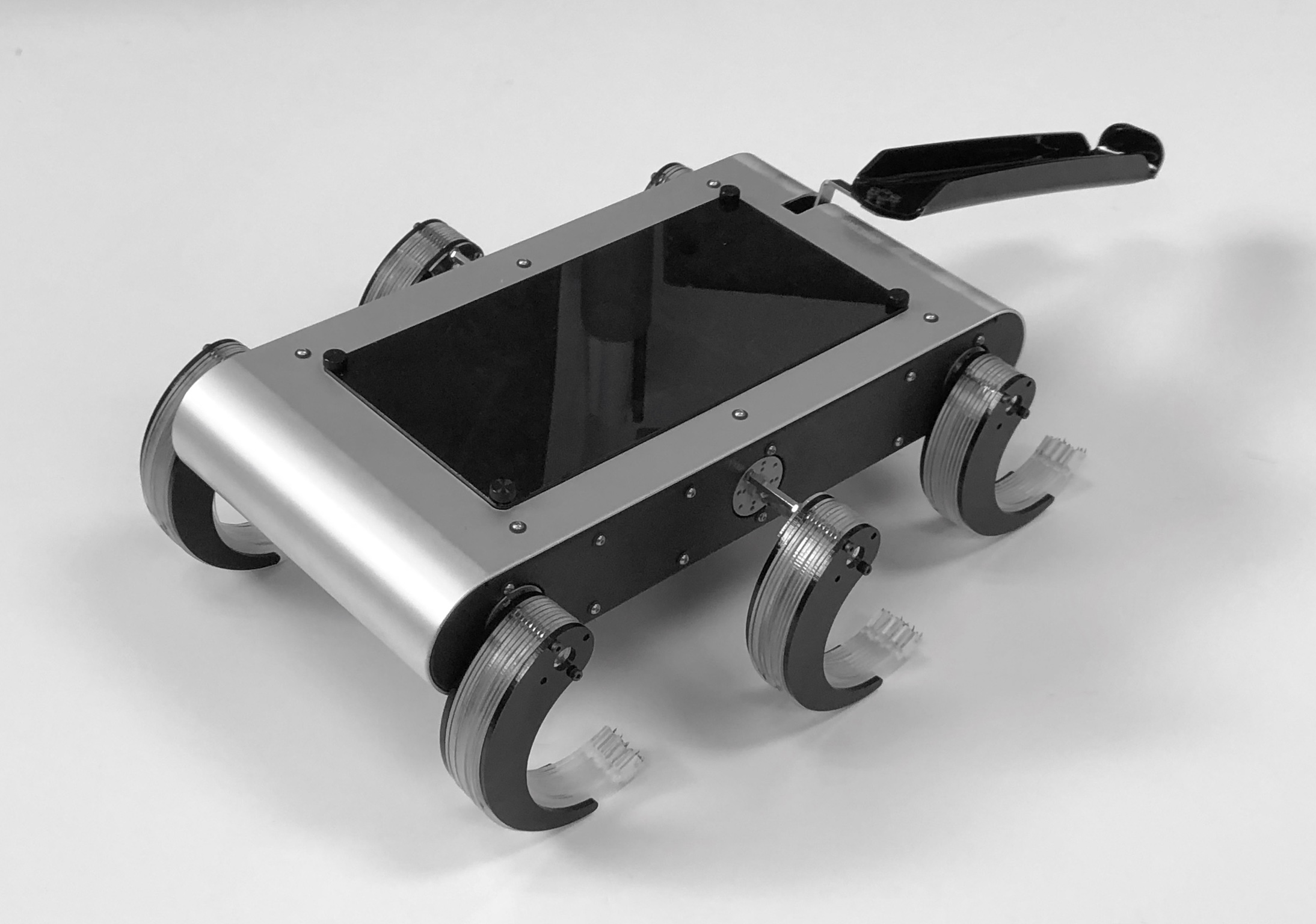 T-RHex is a hexapod robot with spiky feet and a tail