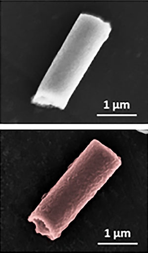 Images of the bare nanorobot without the red blood cell and platelet hybrid membrane coating (top) and the cloaked biohybrid nanorobot (bottom).