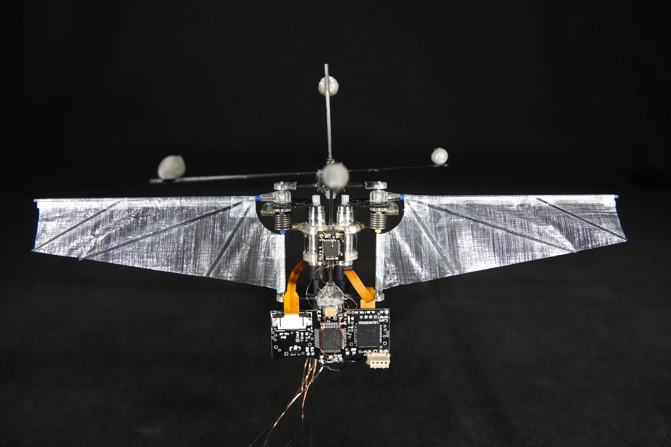Purdue's Robot Hummingbird